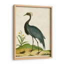 Heron Retrato Ii | Cuadro decorativo de Canvas Lab