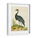Heron Retrato Ii | Cuadro decorativo de Canvas Lab