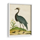 Heron Retrato Ii | Cuadro decorativo de Canvas Lab