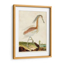 Heron Retrato Iii | Cuadro decorativo de Canvas Lab