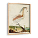 Heron Retrato Iii | Cuadro decorativo de Canvas Lab