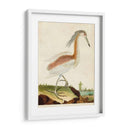 Heron Retrato Iii | Cuadro decorativo de Canvas Lab