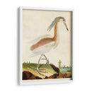 Heron Retrato Iii | Cuadro decorativo de Canvas Lab