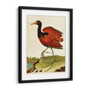 Heron Retrato Iv | Cuadro decorativo de Canvas Lab