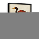 Heron Retrato Iv | Cuadro decorativo de Canvas Lab