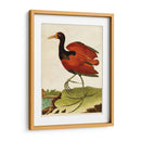 Heron Retrato Iv | Cuadro decorativo de Canvas Lab