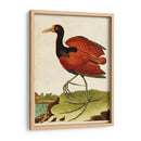 Heron Retrato Iv | Cuadro decorativo de Canvas Lab