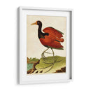 Heron Retrato Iv | Cuadro decorativo de Canvas Lab