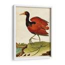 Heron Retrato Iv | Cuadro decorativo de Canvas Lab