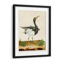 Heron Retrato V | Cuadro decorativo de Canvas Lab