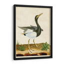 Heron Retrato V | Cuadro decorativo de Canvas Lab