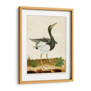 Heron Retrato V | Cuadro decorativo de Canvas Lab