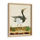 Heron Retrato V | Cuadro decorativo de Canvas Lab