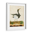 Heron Retrato V | Cuadro decorativo de Canvas Lab