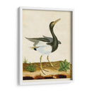 Heron Retrato V | Cuadro decorativo de Canvas Lab