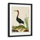 Heron Retrato Vi | Cuadro decorativo de Canvas Lab