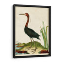 Heron Retrato Vi | Cuadro decorativo de Canvas Lab