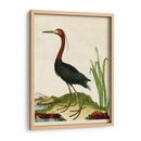 Heron Retrato Vi | Cuadro decorativo de Canvas Lab