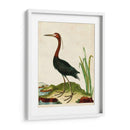 Heron Retrato Vi | Cuadro decorativo de Canvas Lab