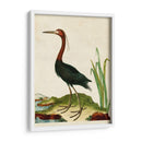Heron Retrato Vi | Cuadro decorativo de Canvas Lab