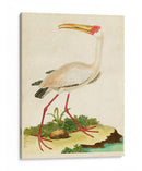 Heron Retrato Vii | Cuadro decorativo de Canvas Lab