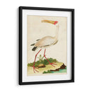 Heron Retrato Vii | Cuadro decorativo de Canvas Lab