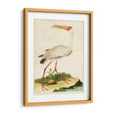 Heron Retrato Vii | Cuadro decorativo de Canvas Lab