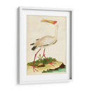 Heron Retrato Vii | Cuadro decorativo de Canvas Lab