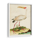 Heron Retrato Vii | Cuadro decorativo de Canvas Lab