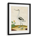 Heron Retrato Viii | Cuadro decorativo de Canvas Lab