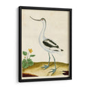 Heron Retrato Viii | Cuadro decorativo de Canvas Lab