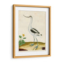 Heron Retrato Viii | Cuadro decorativo de Canvas Lab