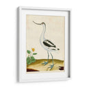 Heron Retrato Viii | Cuadro decorativo de Canvas Lab