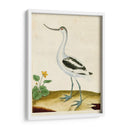 Heron Retrato Viii | Cuadro decorativo de Canvas Lab