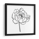 Contorno De Peonía I - Emma Scarvey | Cuadro decorativo de Canvas Lab