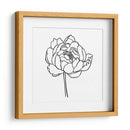 Contorno De Peonía I - Emma Scarvey | Cuadro decorativo de Canvas Lab