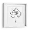 Contorno De Peonía I - Emma Scarvey | Cuadro decorativo de Canvas Lab