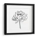 Contorno De Peonía Ii - Emma Scarvey | Cuadro decorativo de Canvas Lab