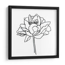 Contorno De Peonía Ii - Emma Scarvey | Cuadro decorativo de Canvas Lab