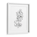 Membrillo Flor Contorno I - Emma Scarvey | Cuadro decorativo de Canvas Lab