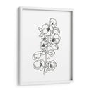 Membrillo Flor Contorno I - Emma Scarvey | Cuadro decorativo de Canvas Lab