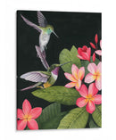 En La Plumeria I - Grace Popp | Cuadro decorativo de Canvas Lab