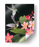 En La Plumeria I - Grace Popp | Cuadro decorativo de Canvas Lab