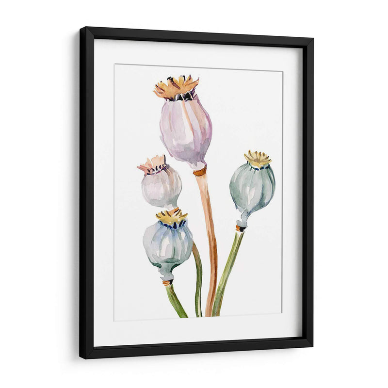 Acuarela Poppy Vainas Ii - Jennifer Paxton Parker | Cuadro decorativo de Canvas Lab