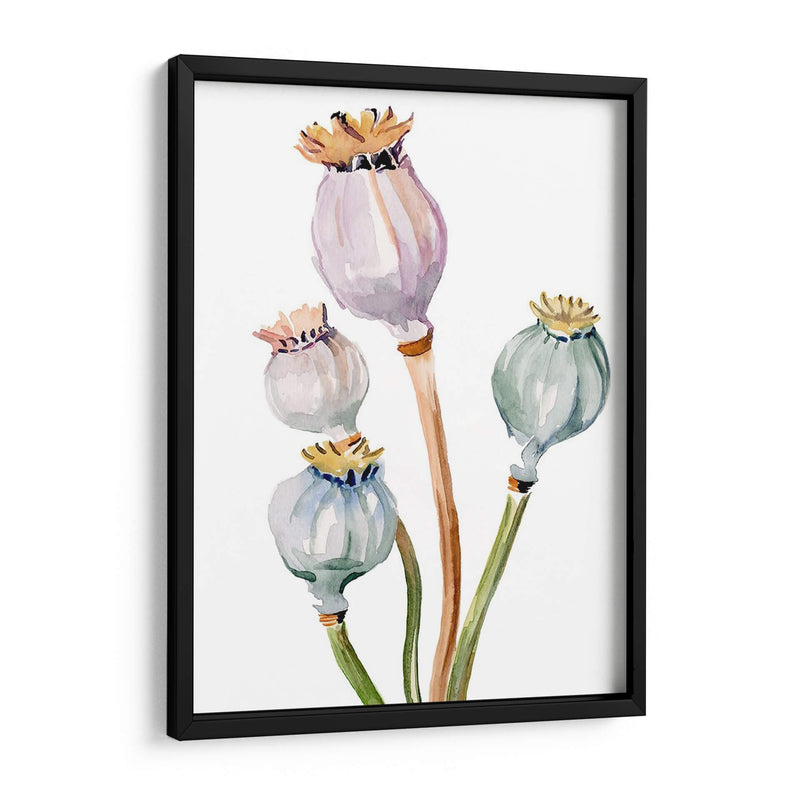 Acuarela Poppy Vainas Ii - Jennifer Paxton Parker | Cuadro decorativo de Canvas Lab