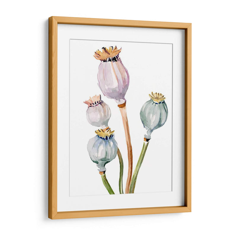 Acuarela Poppy Vainas Ii - Jennifer Paxton Parker | Cuadro decorativo de Canvas Lab