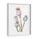 Acuarela Poppy Vainas Ii - Jennifer Paxton Parker | Cuadro decorativo de Canvas Lab