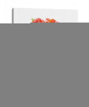 Peonías Dulces Ii - Melissa Wang | Cuadro decorativo de Canvas Lab