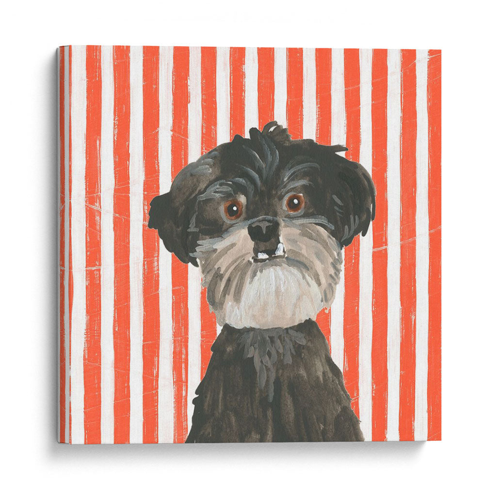 Paroro Pooches I - June Erica Vess | Cuadro decorativo de Canvas Lab