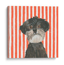Paroro Pooches I - June Erica Vess | Cuadro decorativo de Canvas Lab